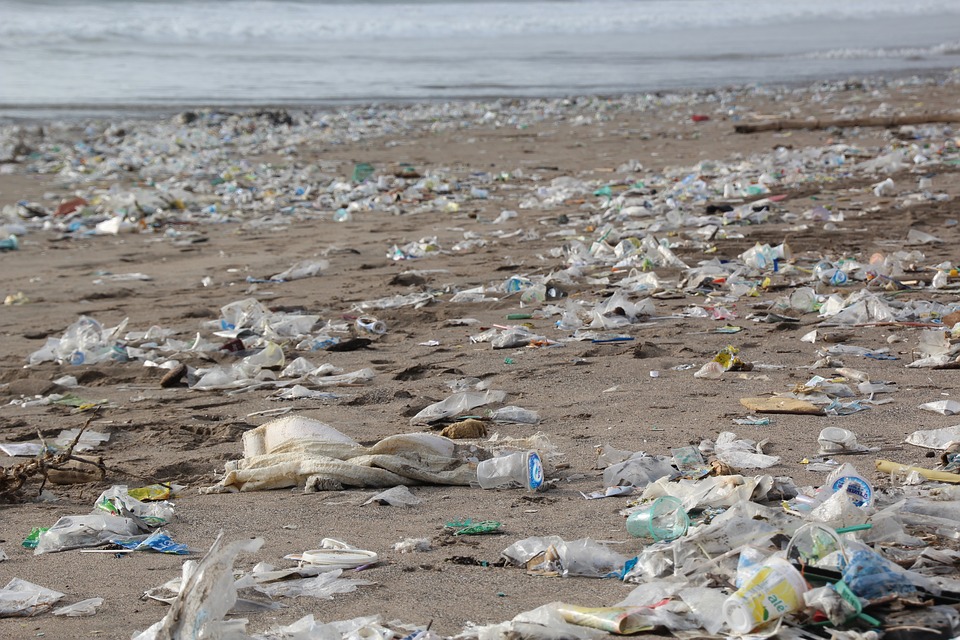 Journée mondiale de l'environnement 2018 : bannissez les produits plastique  à usage unique !